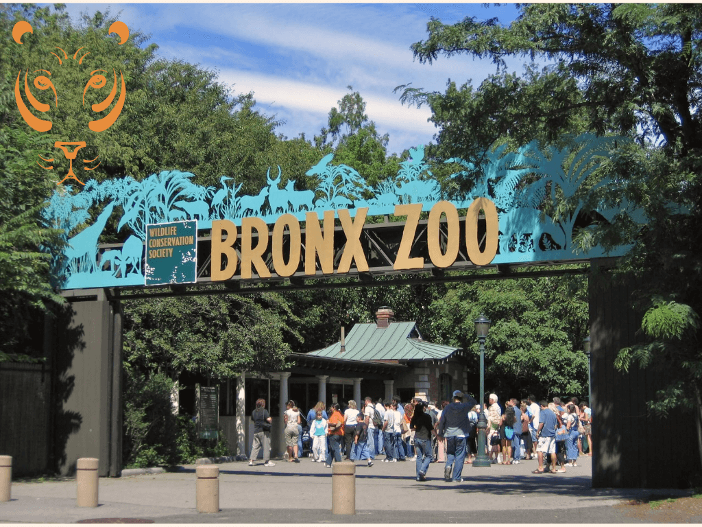 zoológico del Bronx