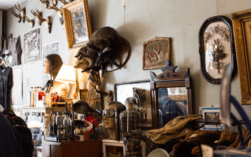 obscura bizarre antiques new york